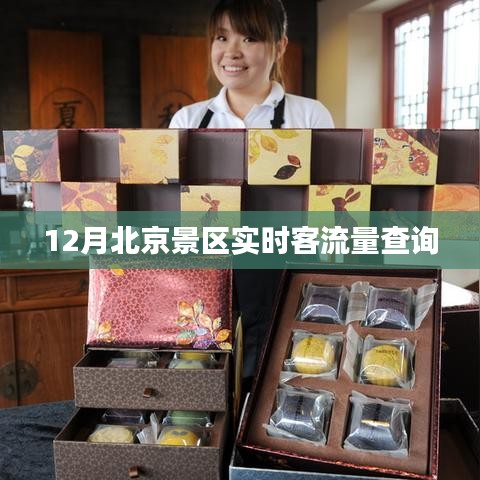 北京景区实时客流量查询(十二月)