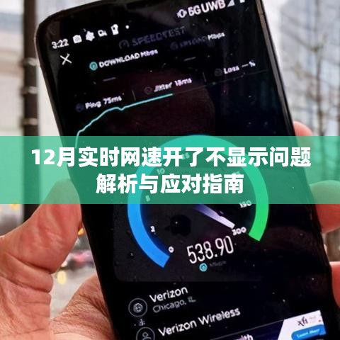 12月网速不显示问题解析与应对指南