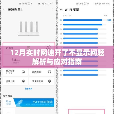 12月网速不显示问题解析与应对指南
