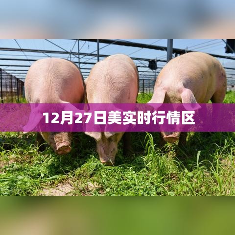 美国股市实时行情分析