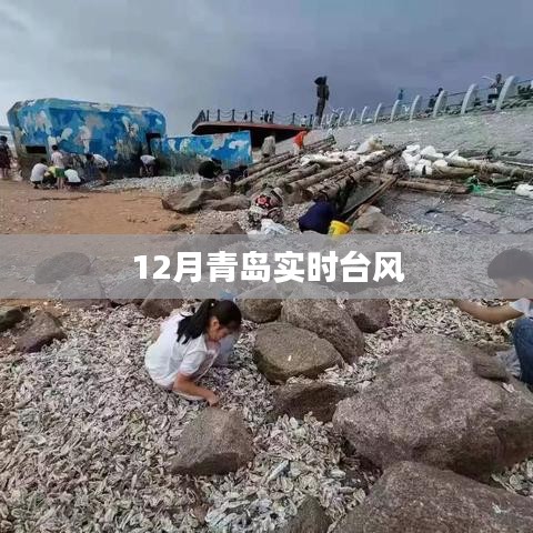 青岛实时台风动态追踪