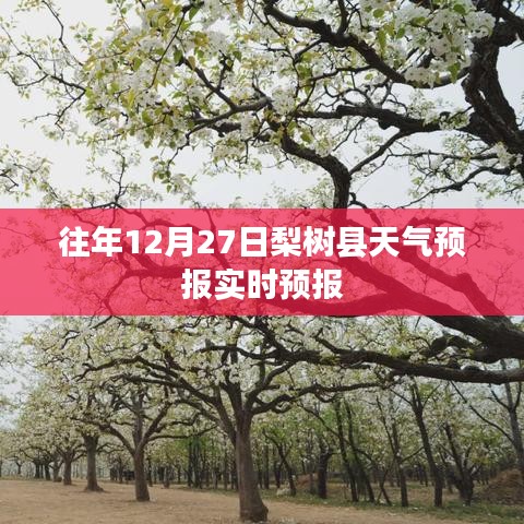 梨树县天气预报实时更新｜往年12月27日天气预测