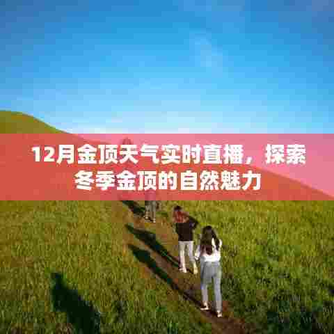 冬季金顶实时直播,探索自然魅力的绝佳之地
