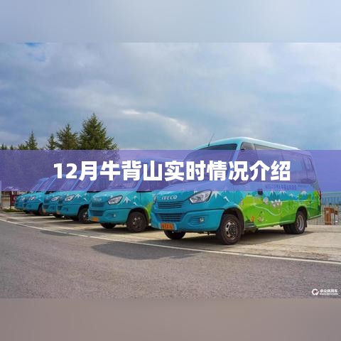 牛背山12月最新实时情况介绍