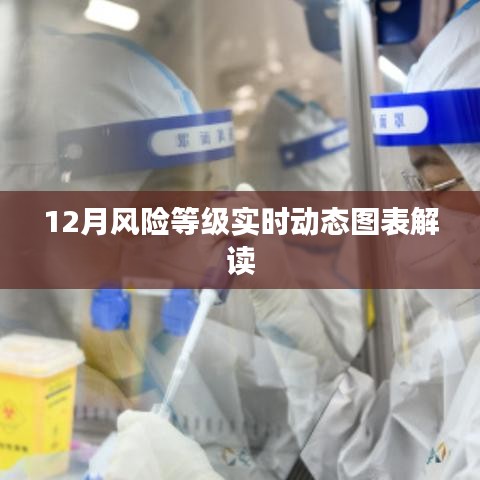 12月风险等级动态图表解析