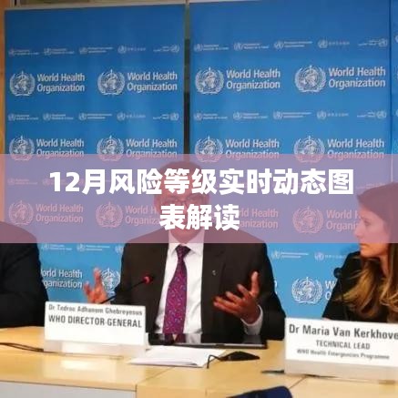 12月风险等级动态图表解析