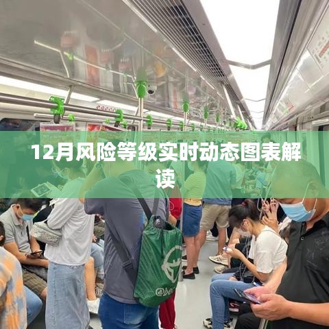 12月风险等级动态图表解析
