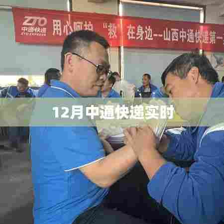 中通快递实时物流跟踪查询(12月版)