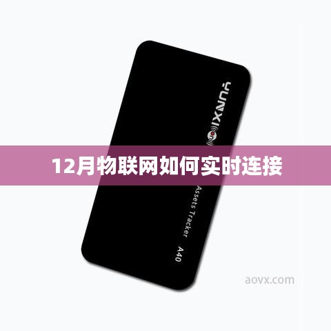 物联网实时连接技术解析,12月最新进展