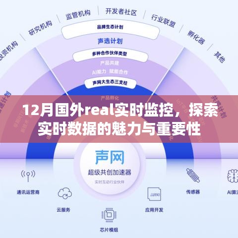 12月国外实时监控数据,实时数据的魅力与重要性探索