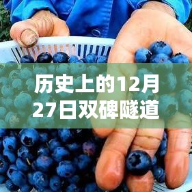 历史上的双碑隧道开通盛况回顾