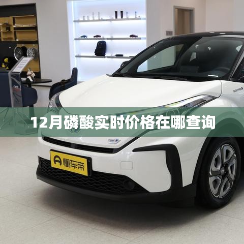 磷酸实时价格查询,最新市场走势分析