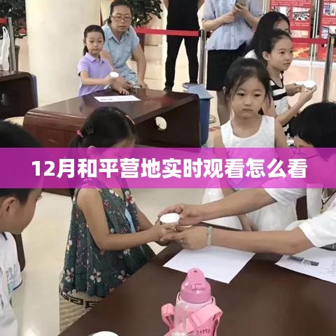 和平营地实时观看指南,12月观看教程