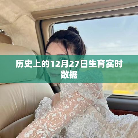 历史上的12月27日生育数据概览