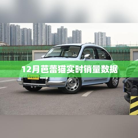 12月芭蕾猫销量数据实时更新