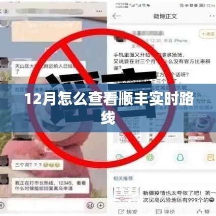 顺丰实时路线查询攻略,12月版