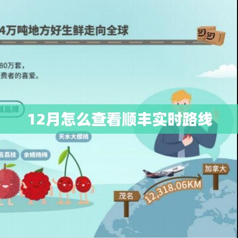 顺丰实时路线查询攻略,12月版
