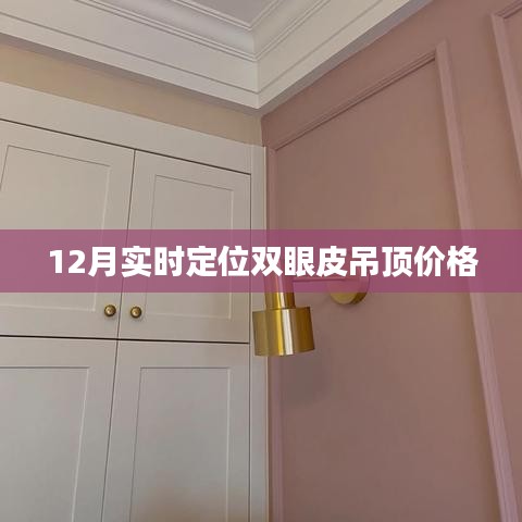 双眼皮吊顶价格实时定位查询