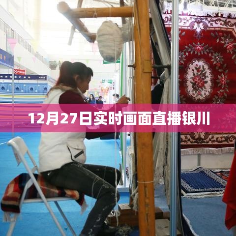 12月27日银川实时画面直播赏析