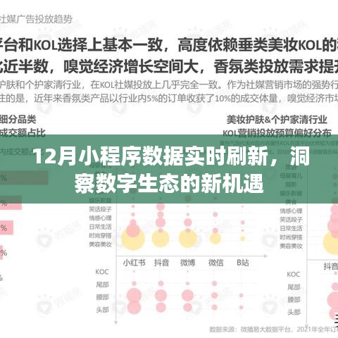 12月小程序数据实时刷新,数字生态新机遇洞察