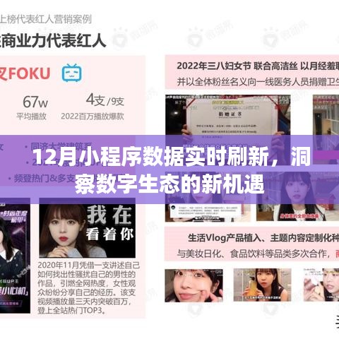 12月小程序数据实时刷新,数字生态新机遇洞察