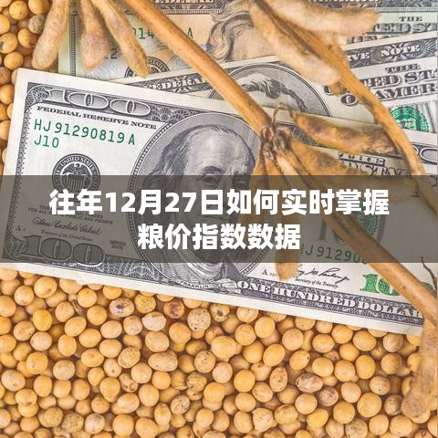 往年12月27日粮价指数实时掌握攻略