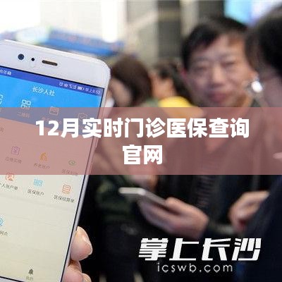 12月实时门诊医保在线查询平台