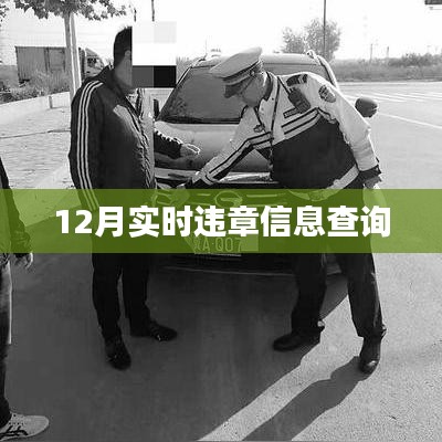 12月实时违章查询结果在线查看