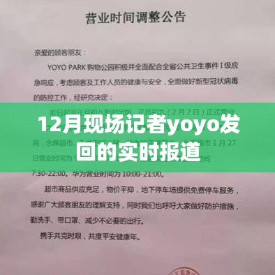 12月现场直击,yoyo记者的实时报道