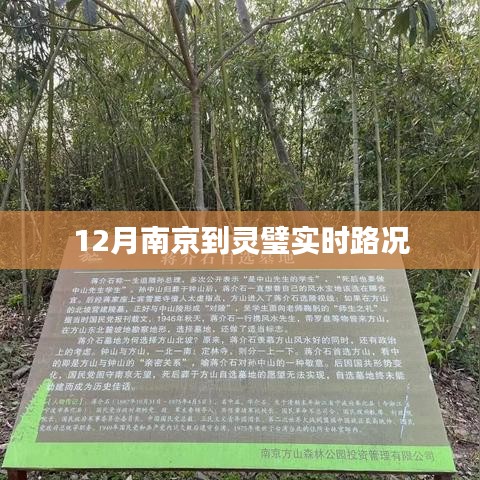 南京至灵璧实时路况查询