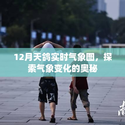 12月天鸽实时气象图,揭秘气象变化奥秘