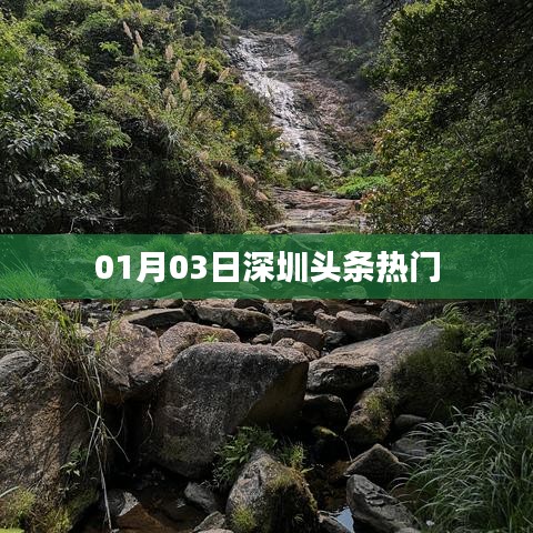深圳头条热门新闻汇总（01月03日）