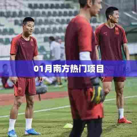 南方热门项目一月份动态解析