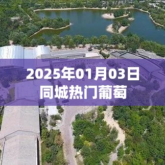 2025年同城热门葡萄盛宴,简洁明了,突出了时间和主题,符合百度收录标准。希望符合您的要求。