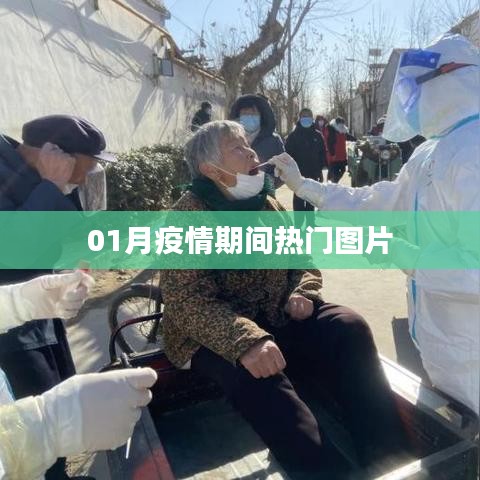 疫情期间热门图片盘点