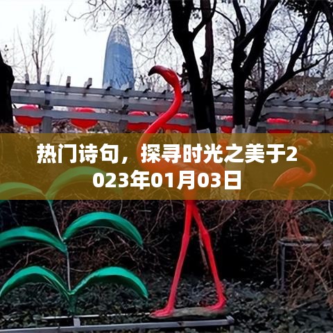 探寻时光之美,热门诗句赏析2023年1月3日