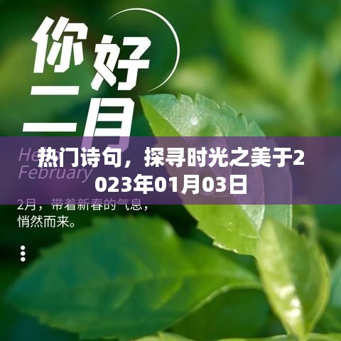 探寻时光之美,热门诗句赏析2023年1月3日