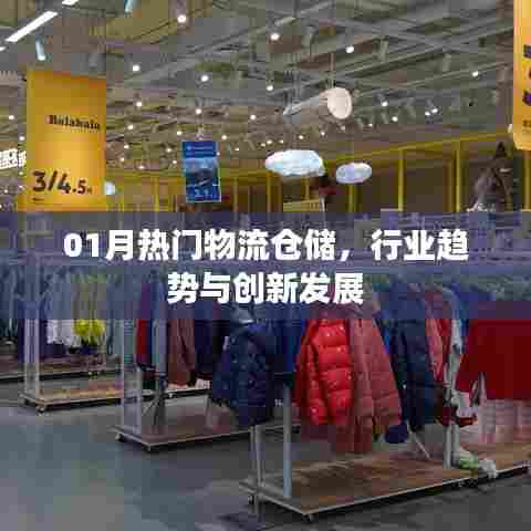 物流仓储行业趋势与创新发展,一月热门看点