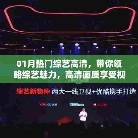 01月热门综艺盛宴,高清画质,视觉享受,综艺魅力一览无遗