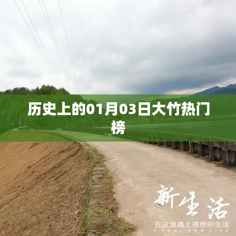 大竹历史热门榜，一月三日回顾与展望