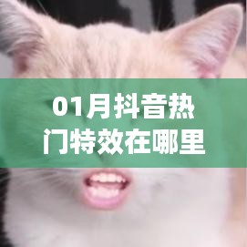 抖音热门特效一月版来袭!特效位置大揭秘!