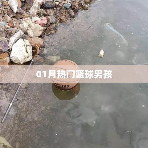 篮球男孩一月热议风潮