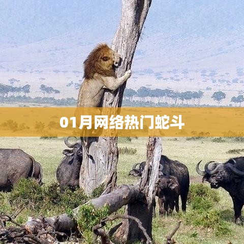 蛇斗游戏火爆网络，一月热议不断