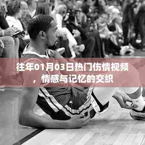 情感交织,历年热门伤情视频回顾