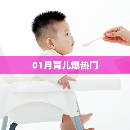 育儿热门秘籍,新手爸妈必备攻略