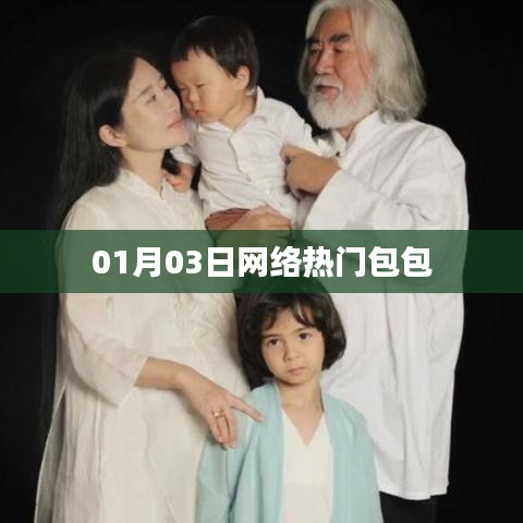 网络热门包包大揭秘，最新流行趋势（日期，01月03日）