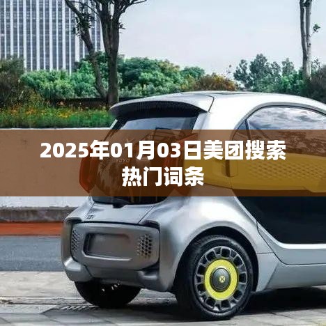 美团搜索热门词条大盘点,2025年1月3日