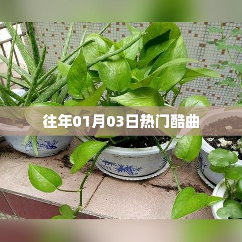 历年元旦后热门酷曲回顾