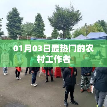 农村工作者最新热点动态,揭秘一月三日热议话题