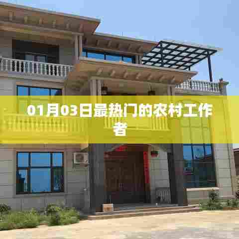 农村工作者最新热点动态,揭秘一月三日热议话题